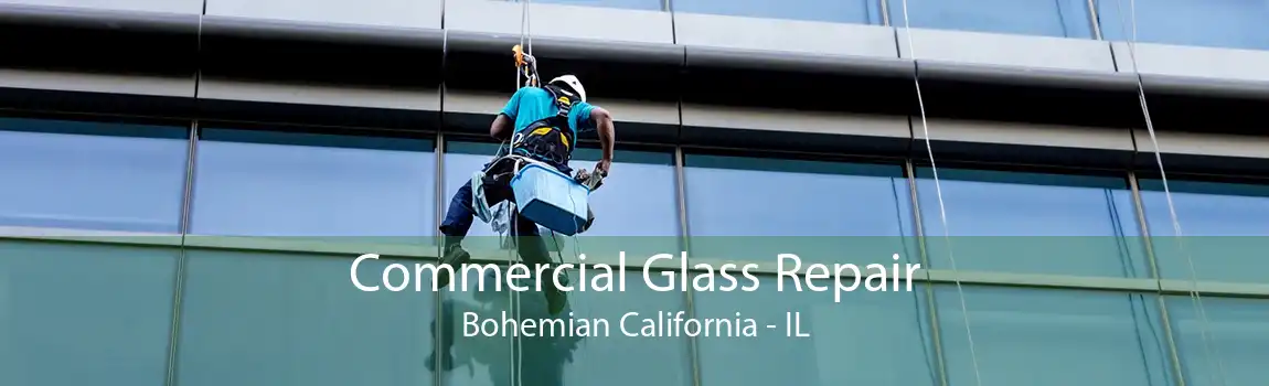Commercial Glass Repair Bohemian California - IL