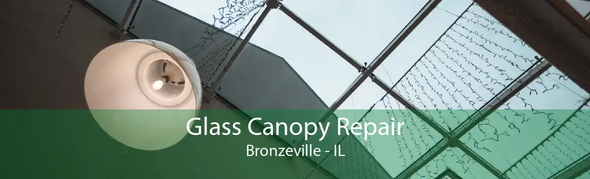 Glass Canopy Repair Bronzeville - IL