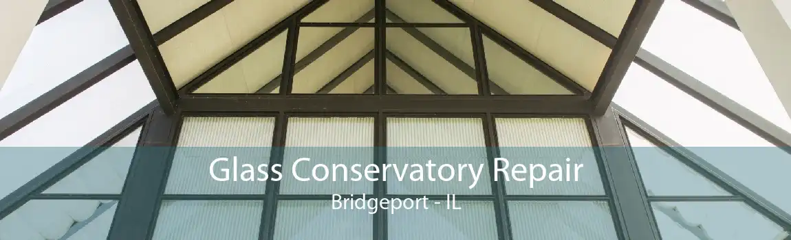 Glass Conservatory Repair Bridgeport - IL