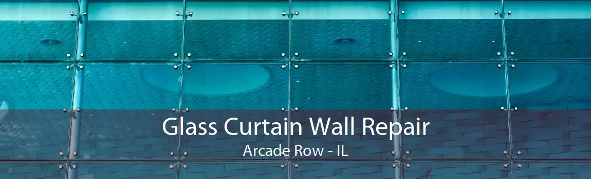 Glass Curtain Wall Repair Arcade Row - IL
