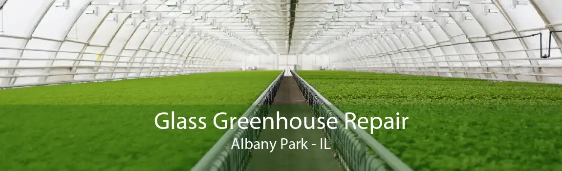 Glass Greenhouse Repair Albany Park - IL