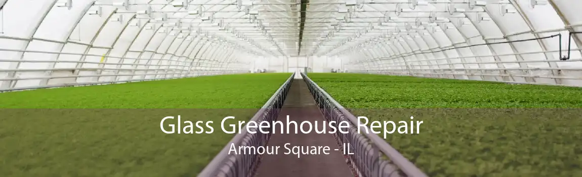 Glass Greenhouse Repair Armour Square - IL