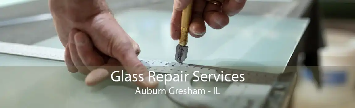 Glass Repair Services Auburn Gresham - IL