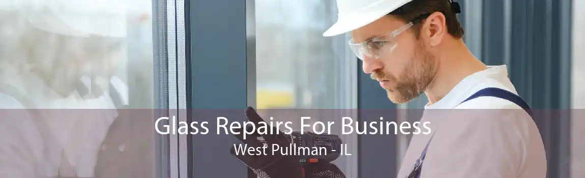 Glass Repairs For Business West Pullman - IL