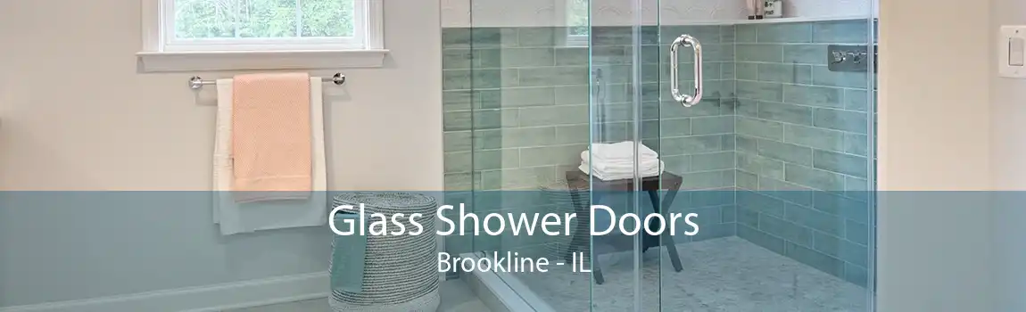 Glass Shower Doors Brookline - IL