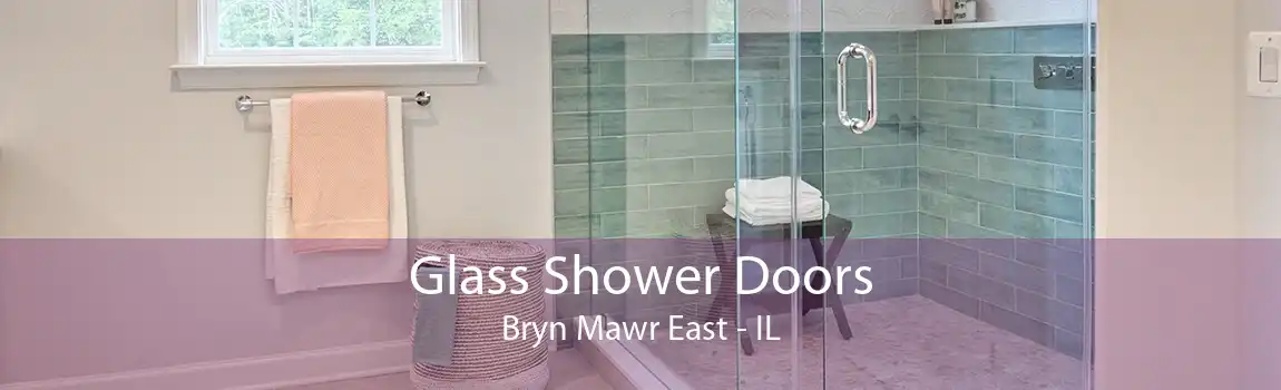 Glass Shower Doors Bryn Mawr East - IL