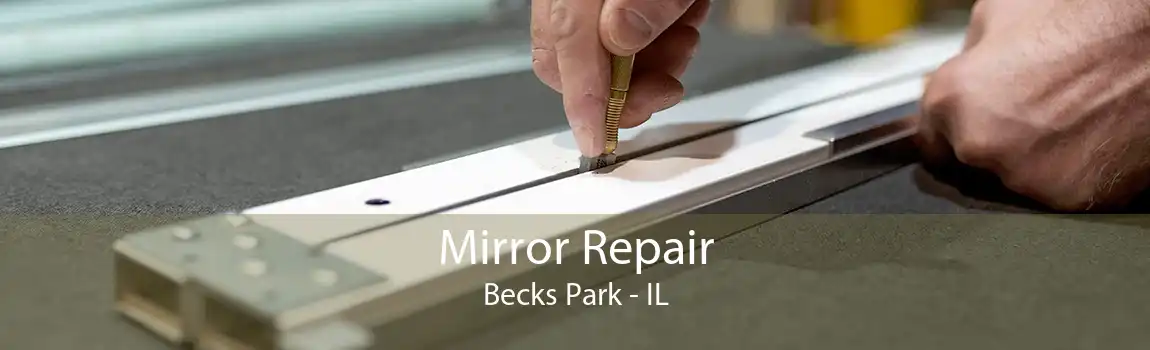Mirror Repair Becks Park - IL