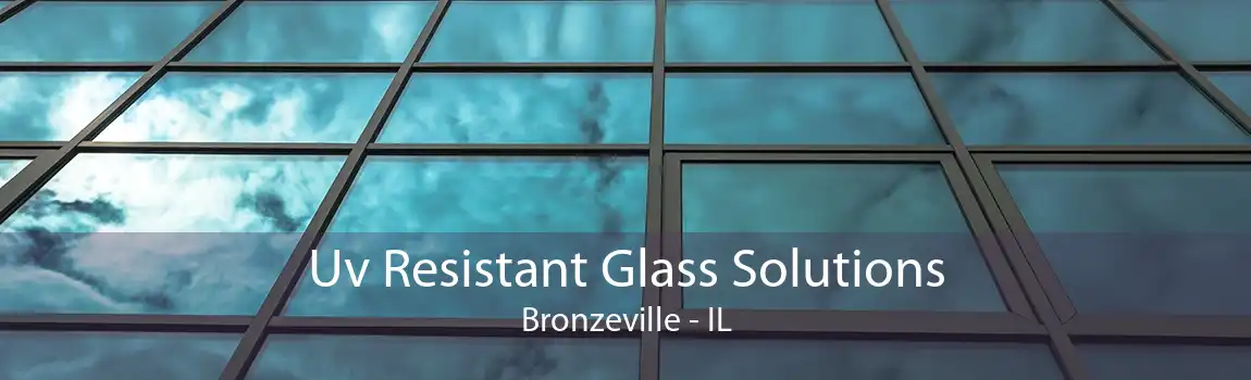 Uv Resistant Glass Solutions Bronzeville - IL