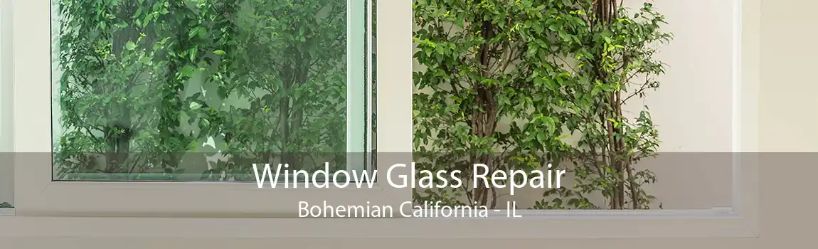 Window Glass Repair Bohemian California - IL