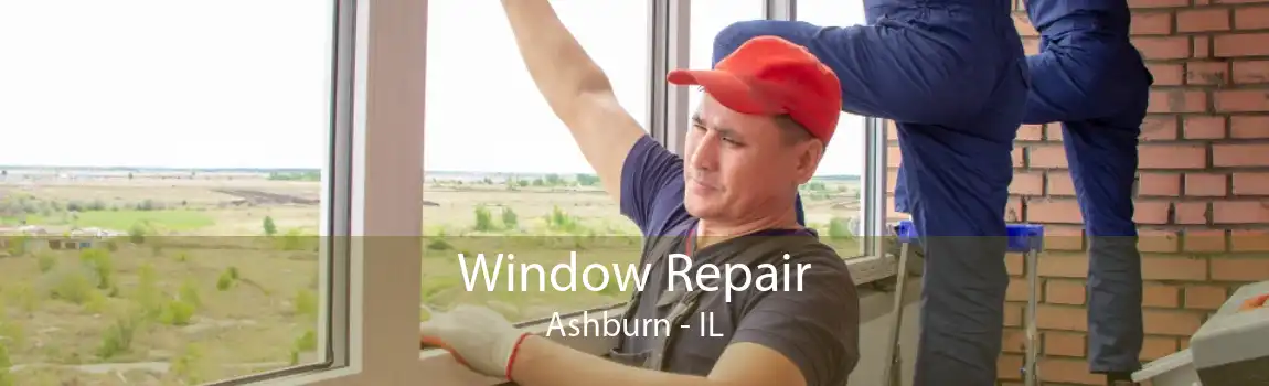 Window Repair Ashburn - IL