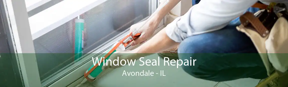 Window Seal Repair Avondale - IL