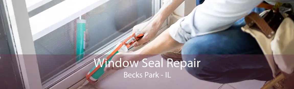 Window Seal Repair Becks Park - IL