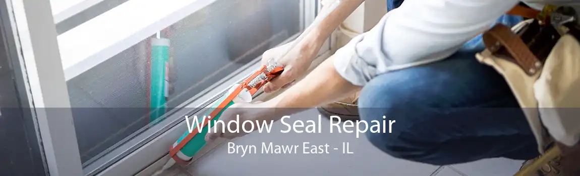 Window Seal Repair Bryn Mawr East - IL